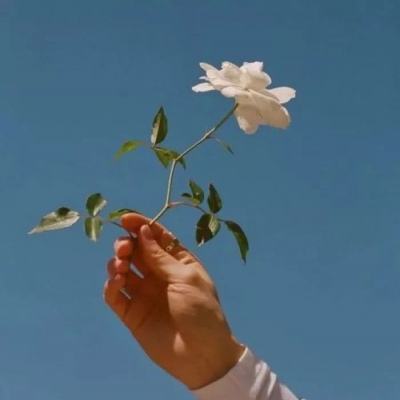 剑仙轩辕志果盘版下载